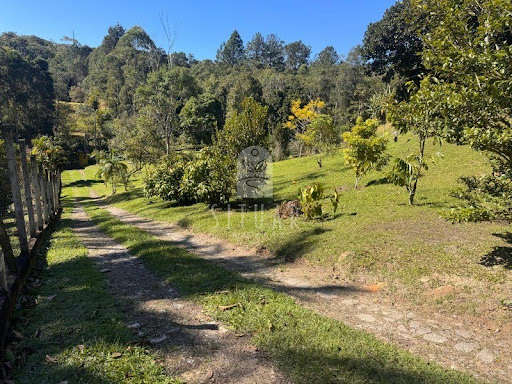 Foto 03