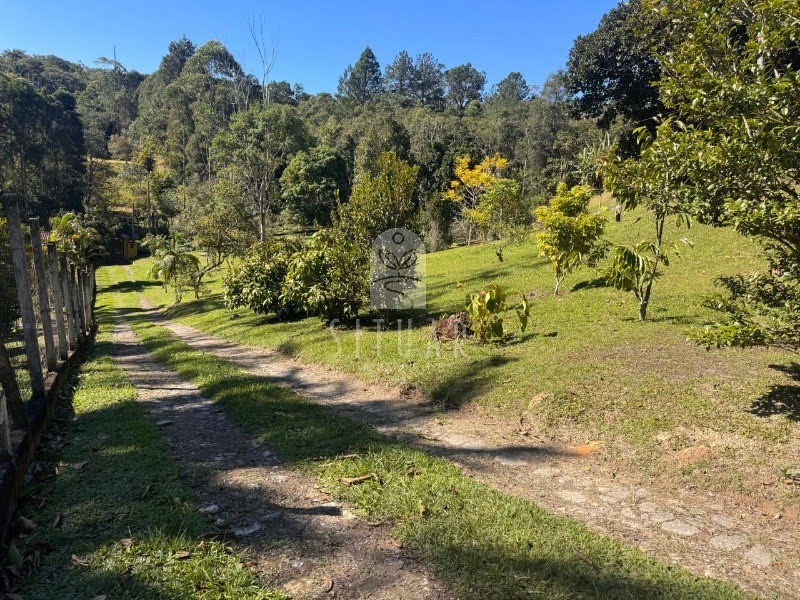 Foto 03