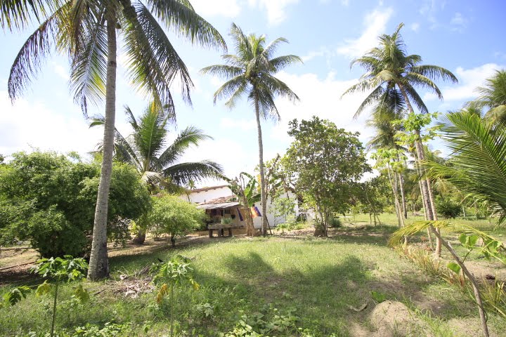 Rural à venda com 25000m² de terreno no Tabuleiro, Igarassu (PE) — foto 15 de 30