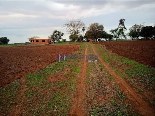Rancho em Zona Rural Castilho  -  Castilho