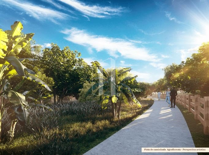 Terreno à venda com 382m² de terreno no Vila Brasília, Aparecida de Goiânia (GO) — foto 15 de 20