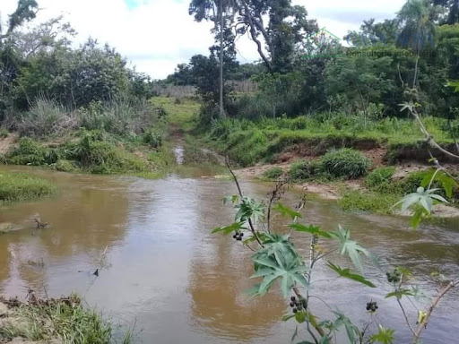 Sítio em Tanquã - São Pedro: Venda por R$ 3.474.000,00