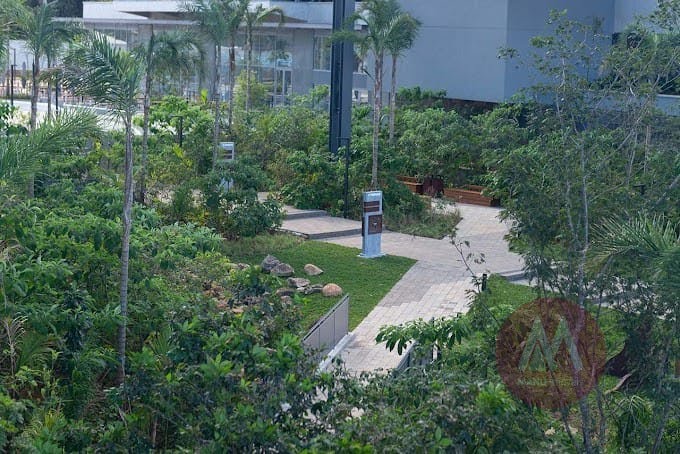 o151714510561838.jpg