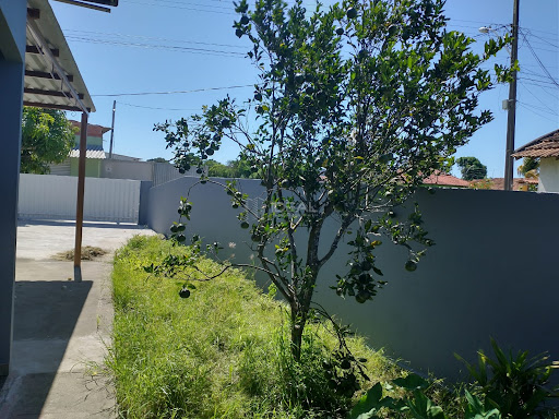 quintal lateral 
