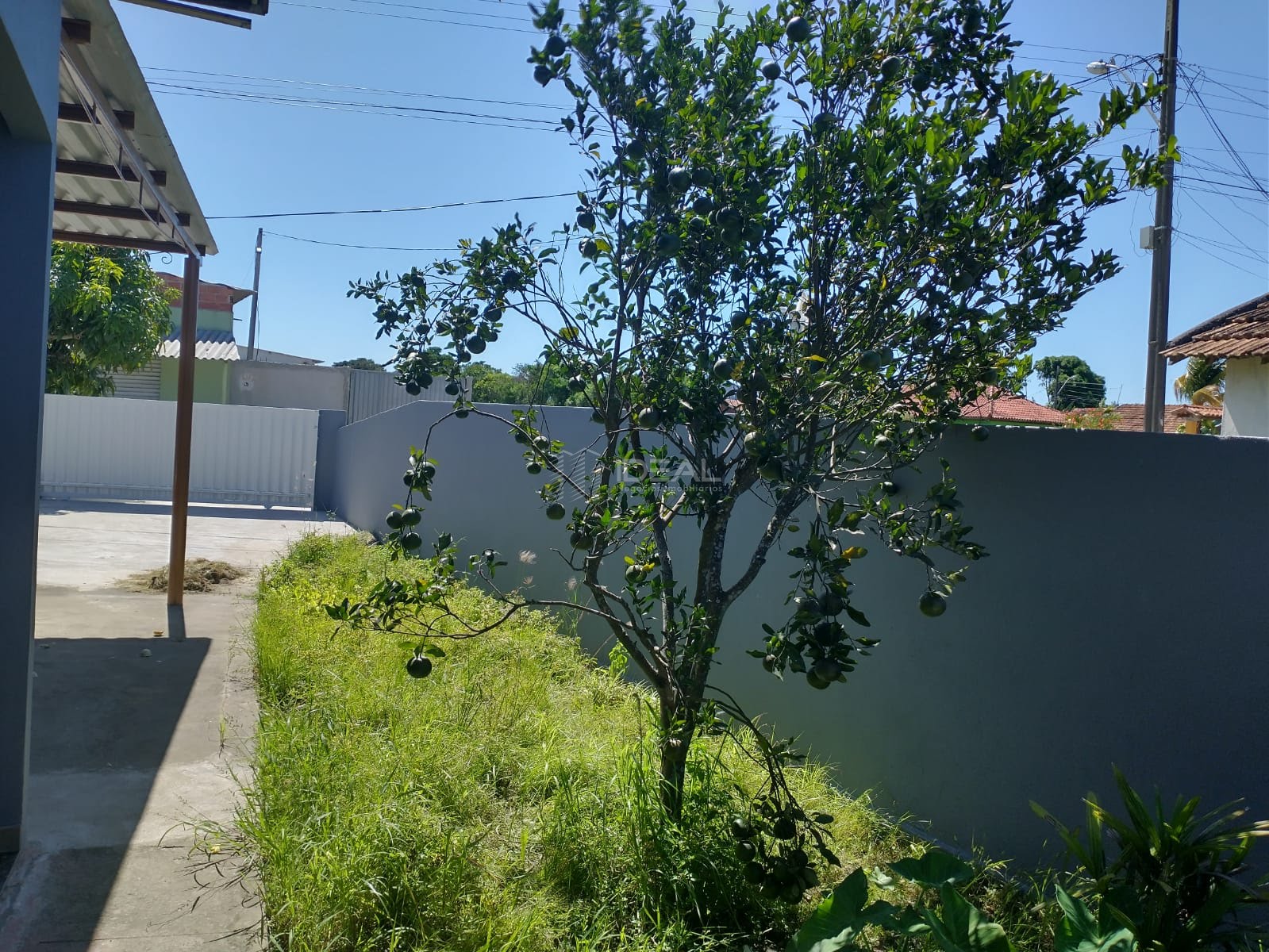 quintal lateral 