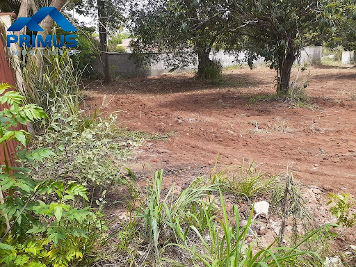 Terreno LOTE em Centro  -  Mateus Leme