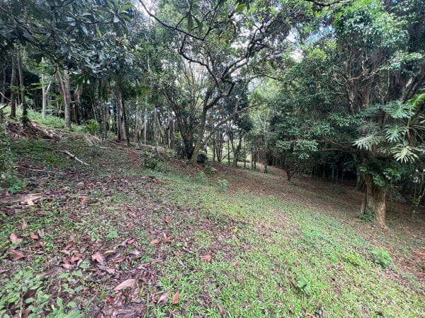 Rural à venda com 45000m² de terreno no Ratones, Florianópolis (SC) — foto 8 de 11
