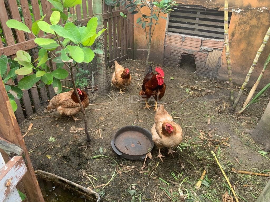 Casa à venda com 6 quartos, 4 banheiros, 4 vagas e 320m² no Grussaí, São João da Barra (RJ) — foto 26 de 30