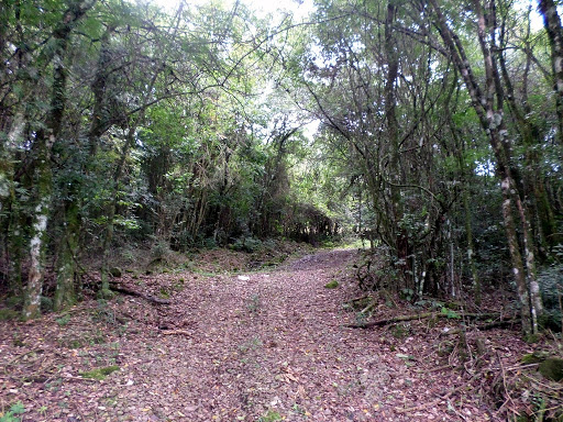 Foto 01