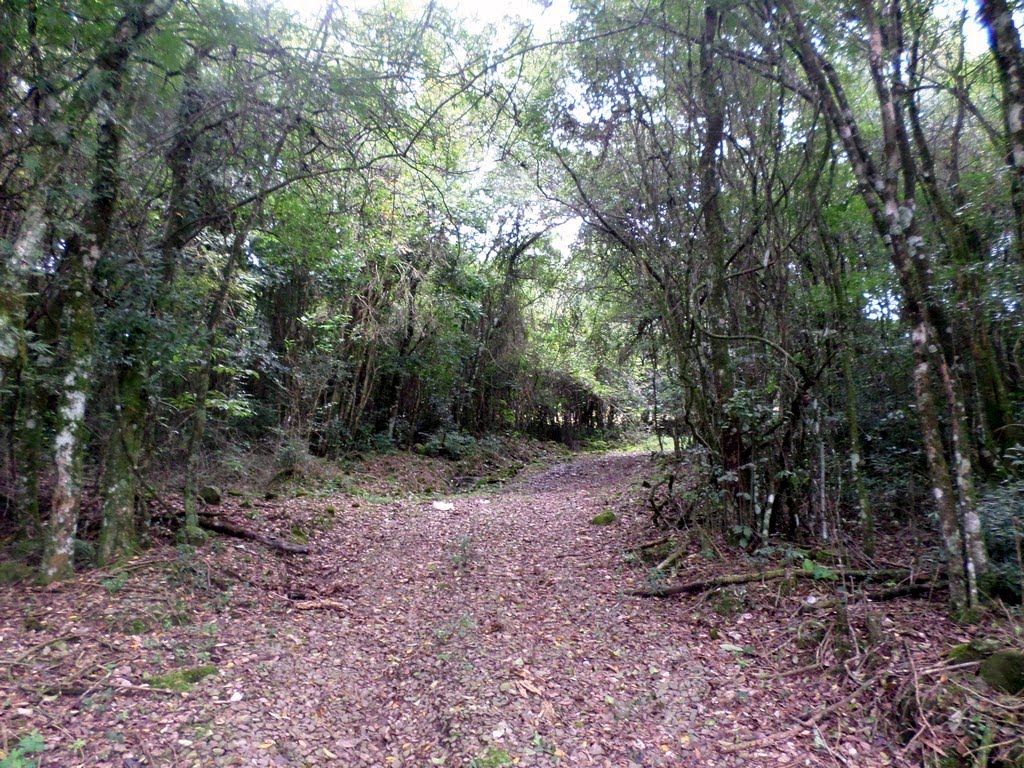 Foto 01