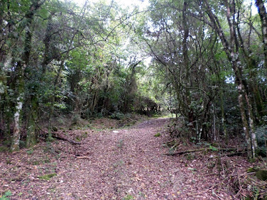 Área de terras na Linha São Luis do Araripe - Garibaldi - RS