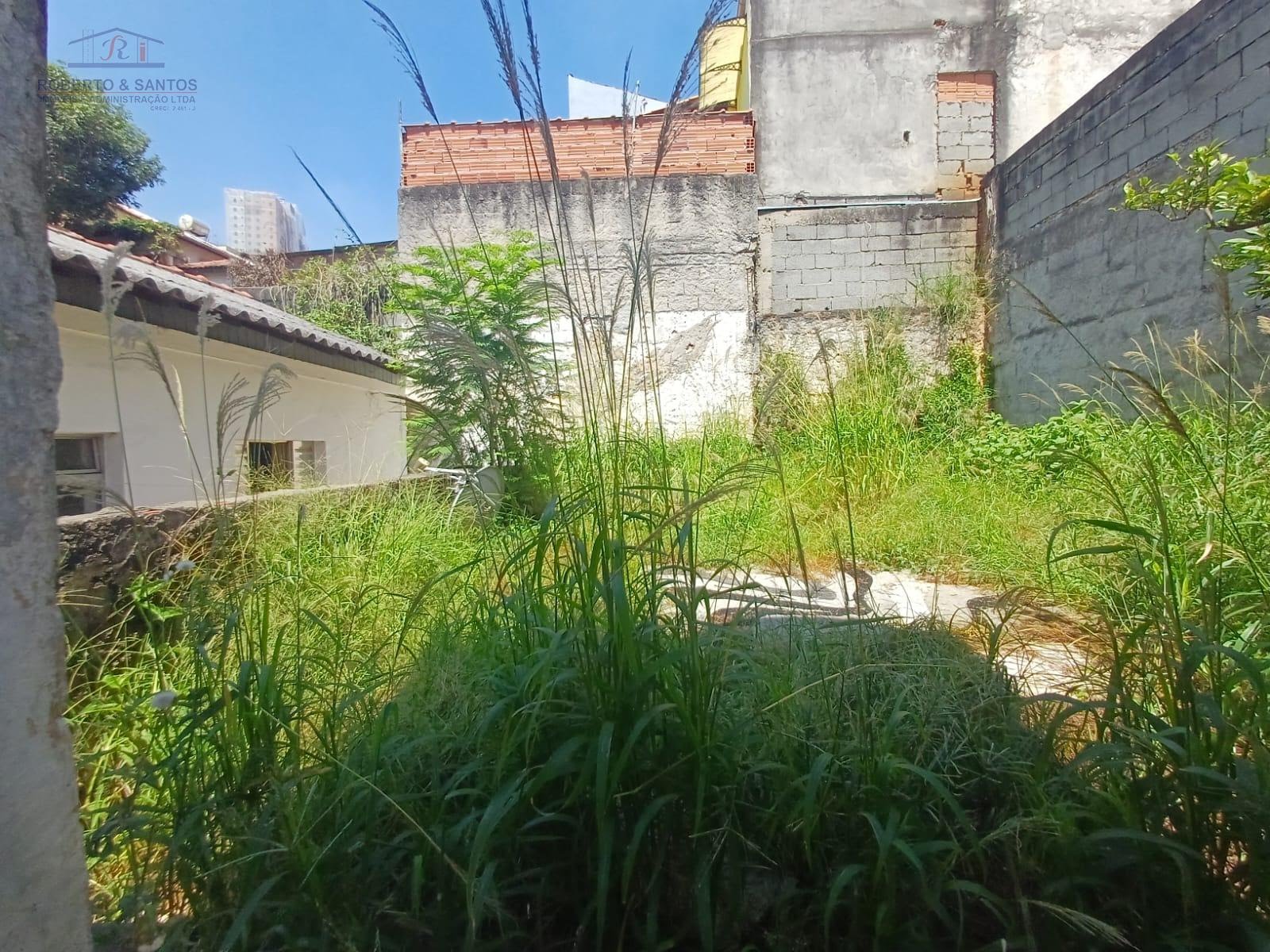 espaço livre