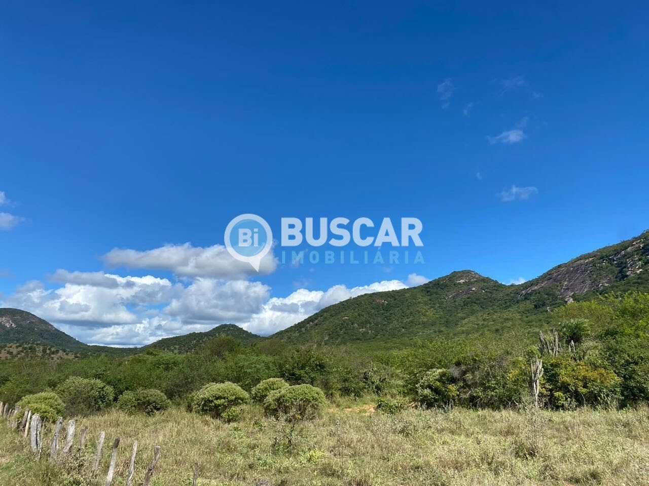 Rural à venda com 1610000m² de terreno no Centro, Iaçu (BA) — foto 4 de 17