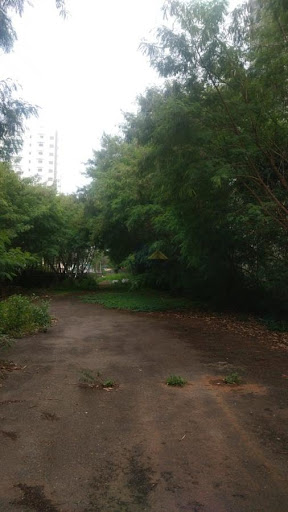 FOTO_5