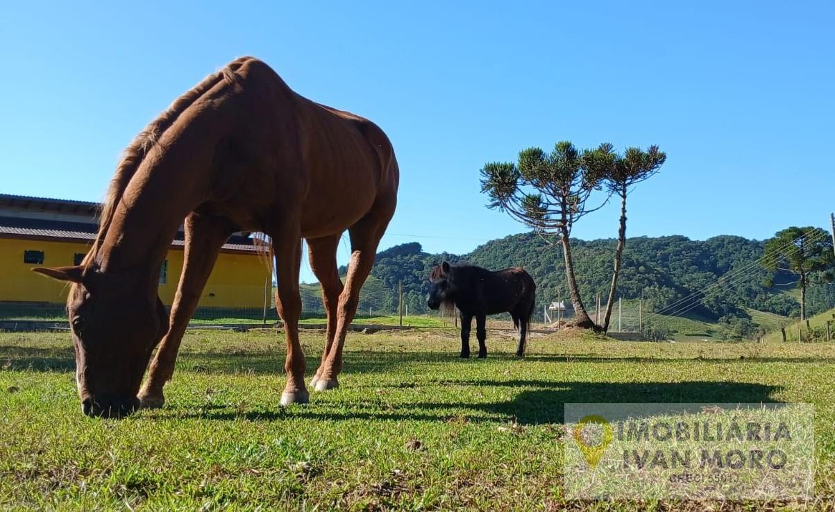 Rural à venda com 34000m² de terreno no Estrada Geral Maracujá, Anitápolis (SC) — foto 4 de 18