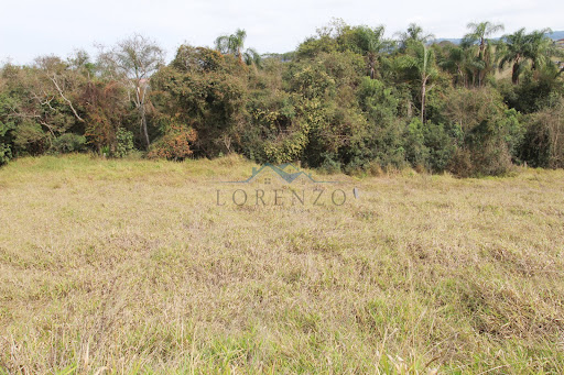 Lote