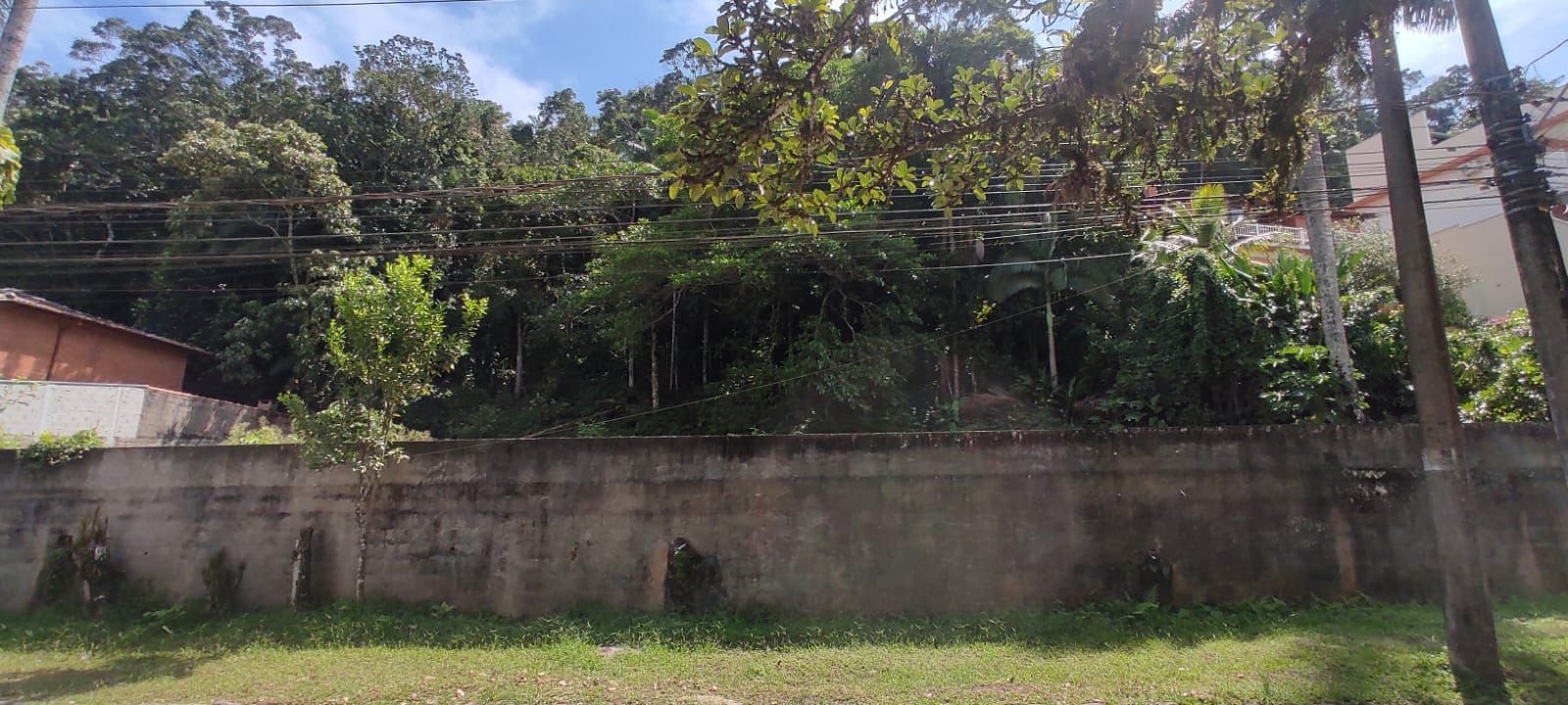 Terreno à venda com 1100m² de terreno no Tenório (praia Vermelha), Ubatuba (SP) — foto 6 de 7