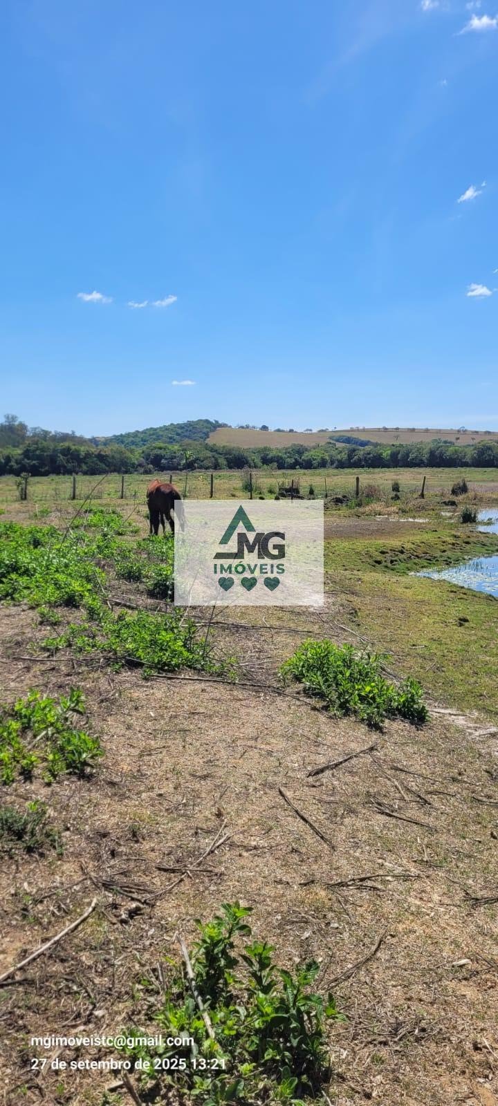 Rural à venda com 20000m² de terreno no Área Rural de Três Corações, Três Corações (MG) — foto 7 de 26