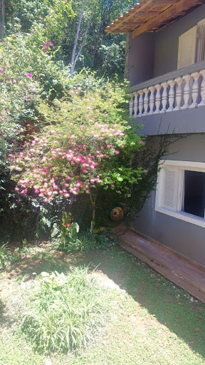 Jardim