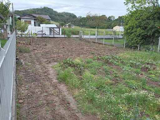 IMG_20211011_133154.jpg