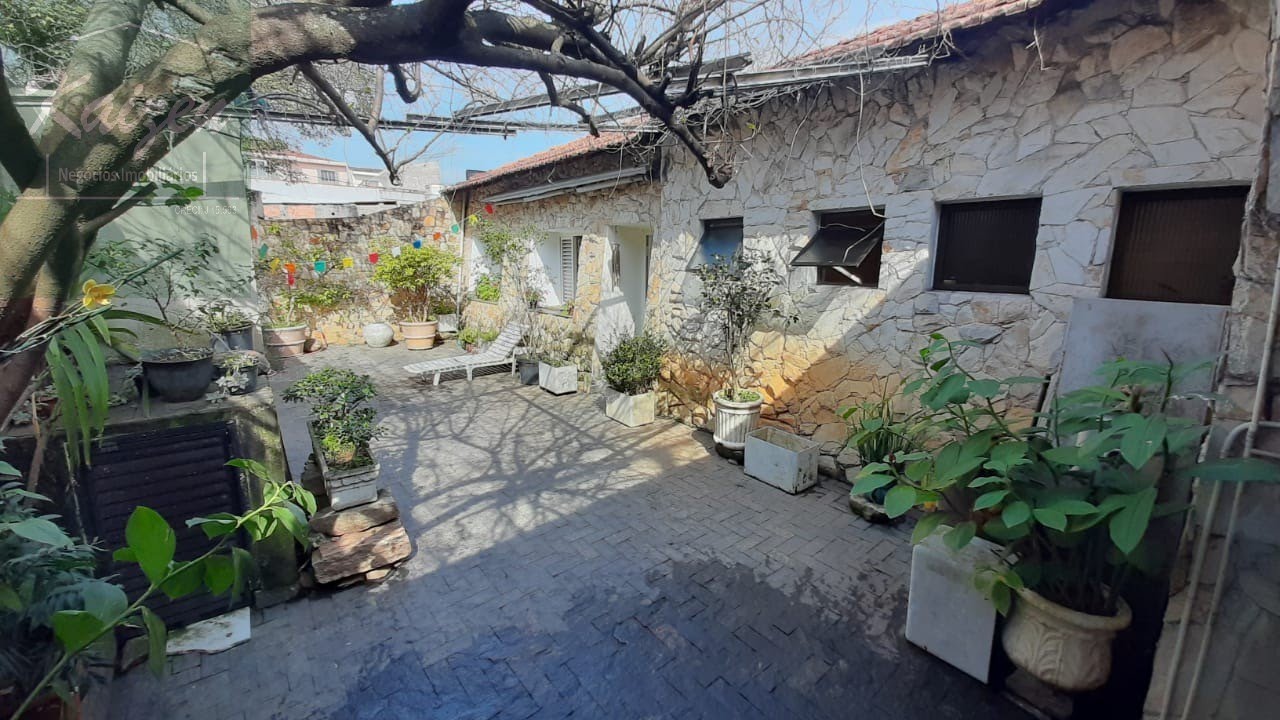 Foto 01
