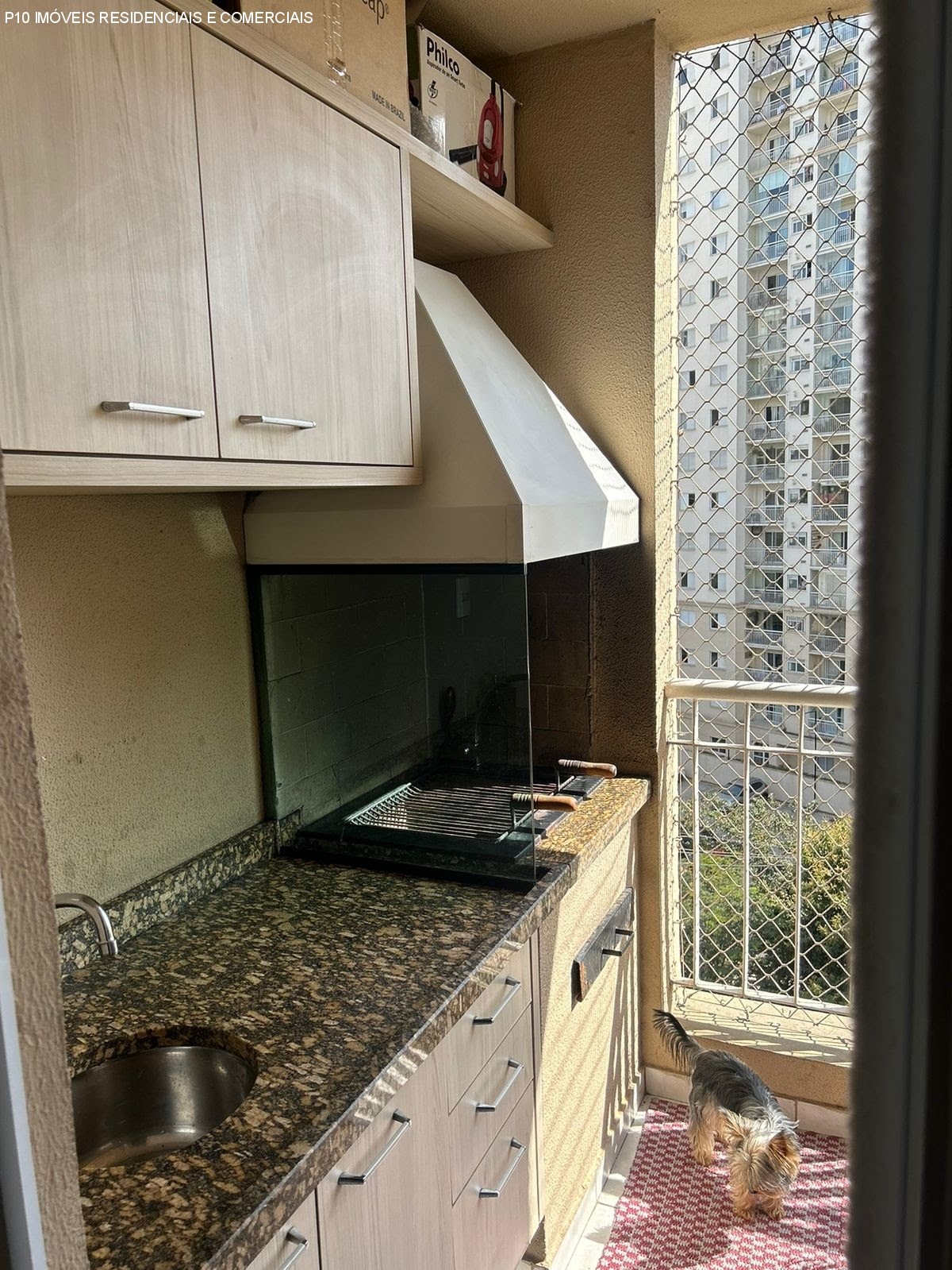 Foto 02