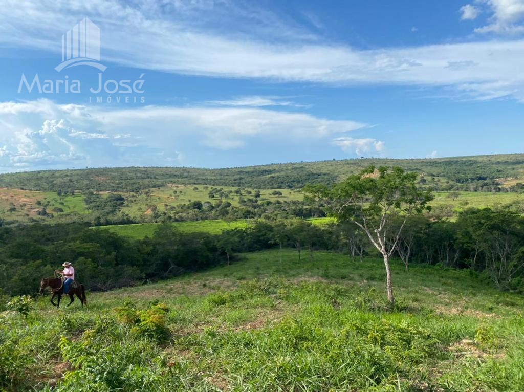Rural à venda com 8930000m² de terreno no Zona Rural de Três Marias, Três Marias (MG) — foto 11 de 30