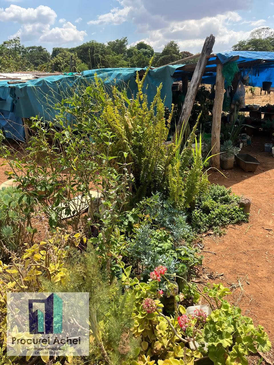 Rural à venda com 5000m² de terreno no Rajadunha I, Brasília (DF) — foto 16 de 21