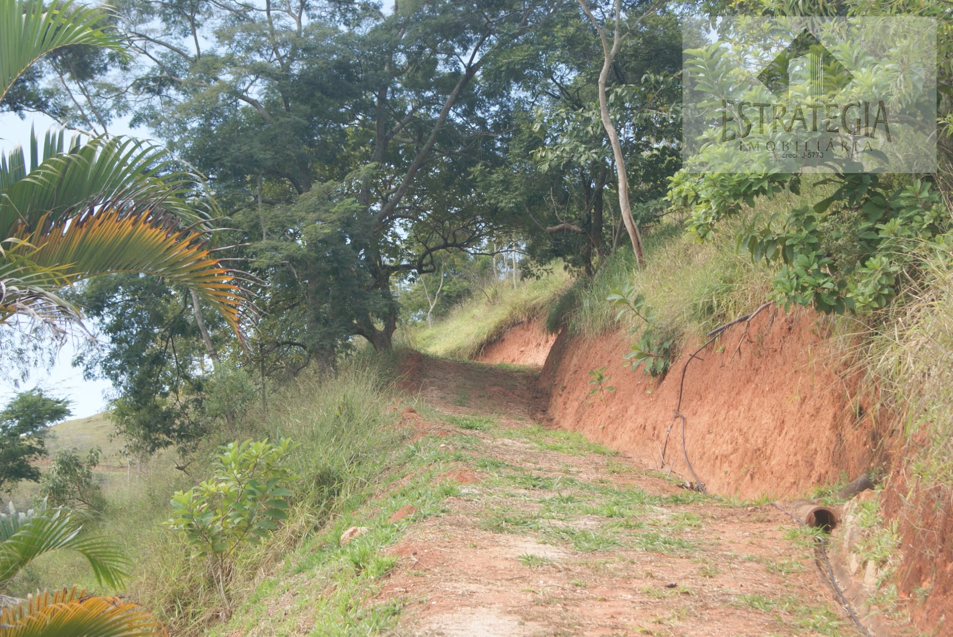 Terreno à venda com 1000m² de terreno no Posse, Petrópolis (RJ) — foto 7 de 12