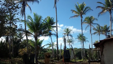 Terreno à Venda em Santo André, Santa Cruz Cabrália - R$7.000.000