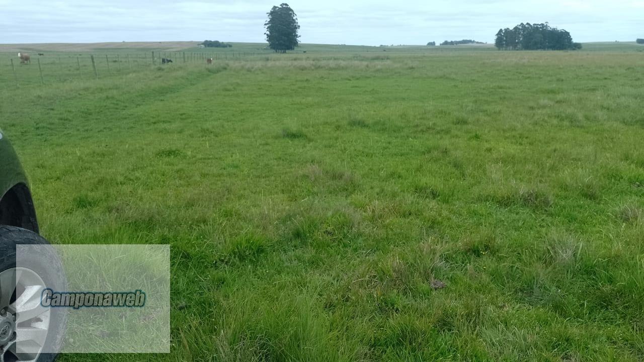 fazenda à venda em Santana do Livramento RS