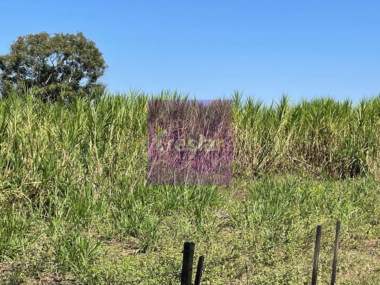 Rural à venda com 1710000m² de terreno no Fazenda, Três Lagoas (MS) — foto 20 de 30