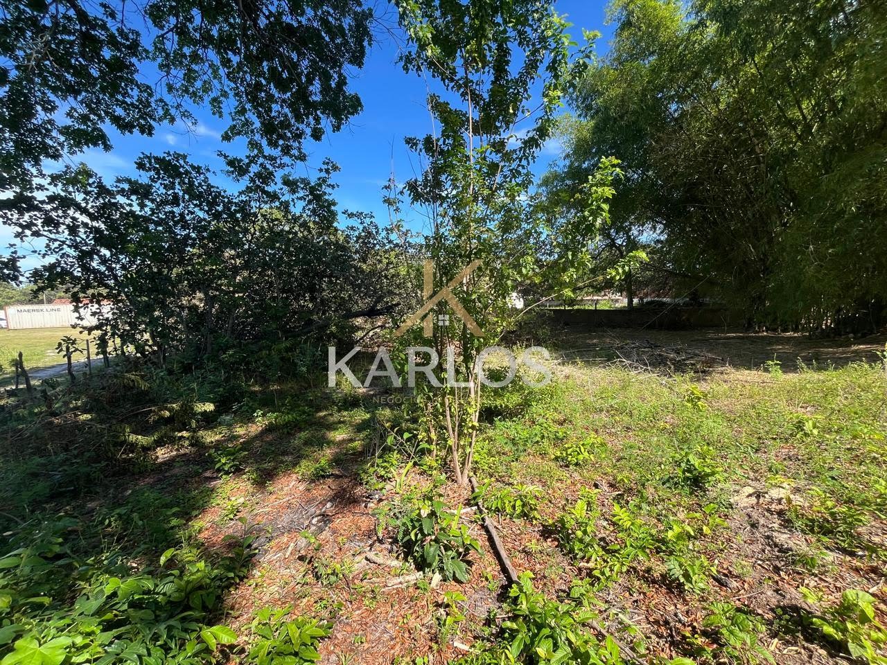 Terreno à venda com 1602m² de terreno no Lance dos Cações, Ilha de Itamaracá (PE) — foto 11 de 16