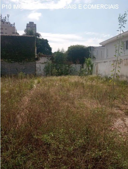 Foto 05