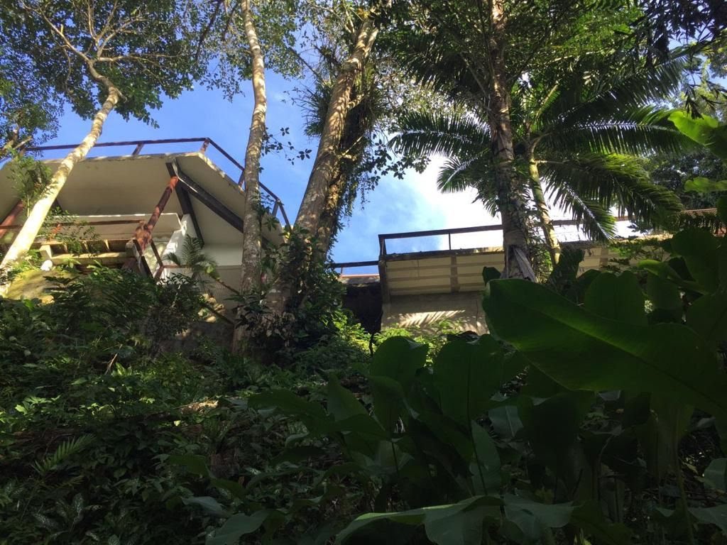 Casa à venda com 6 quartos, 7 banheiros, 6 vagas e 1300m² no Tenório (praia Vermelha), Ubatuba (SP) — foto 2 de 13