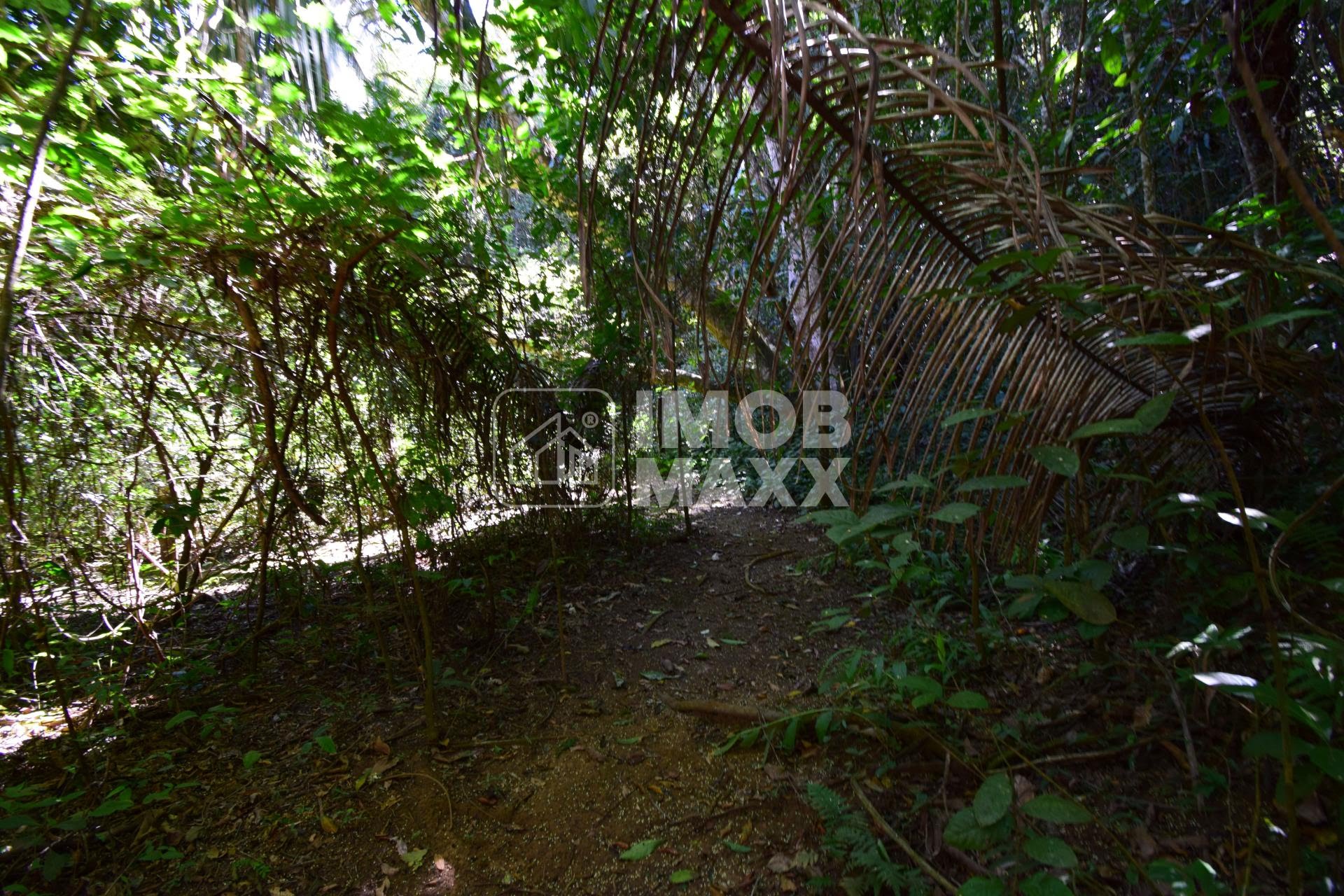 Chácara, 5 quartos, 5 hectares - Foto 37