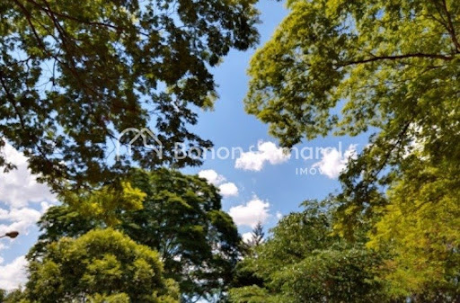 Terreno, 333 m² - Foto 16