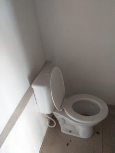 Loja / Salão em Cambuci  -  São Paulo