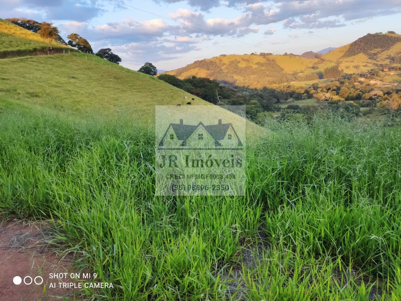 Terreno à venda com 3000m² de terreno no Mato Dentro de Baixo, Piranguinho (MG) — foto 3 de 18