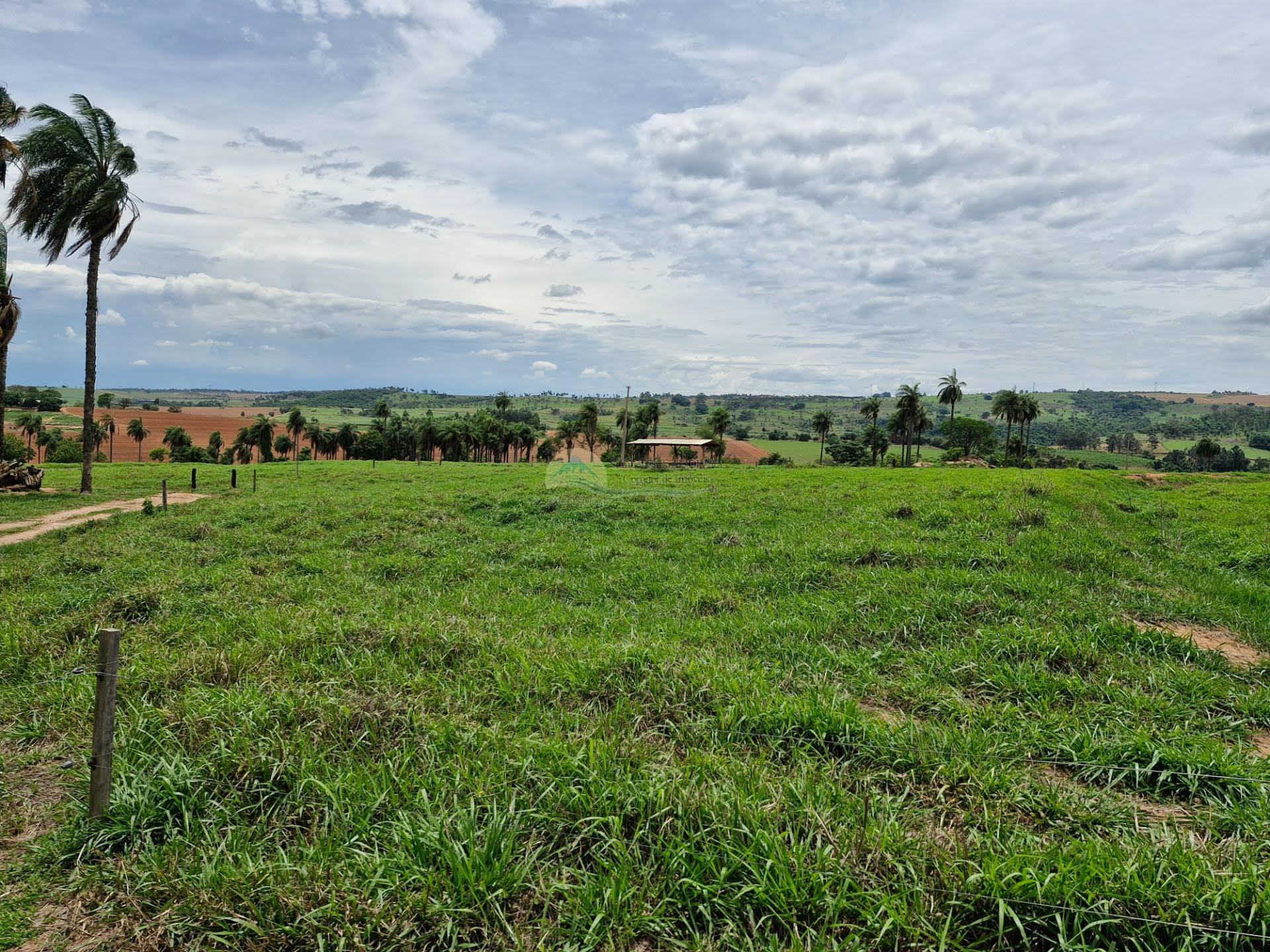 Fazenda a venda em Itobi SP