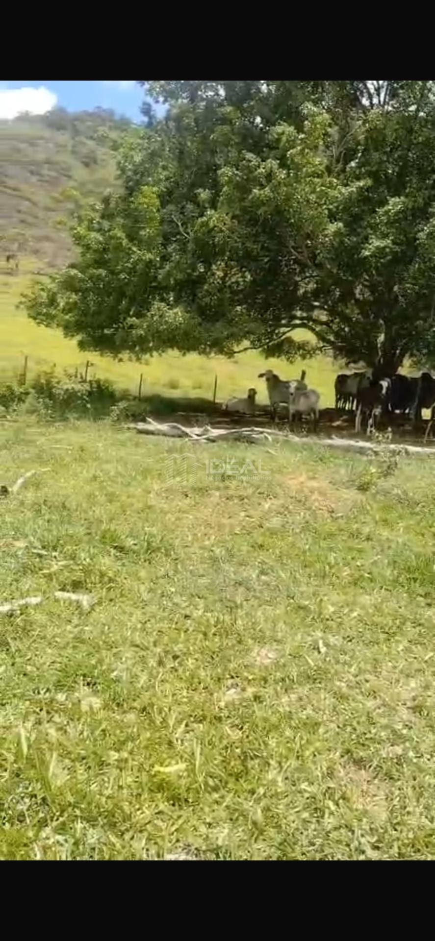 Terreno à venda com 299475m² de terreno no São José, São Fidélis (RJ) — foto 12 de 15