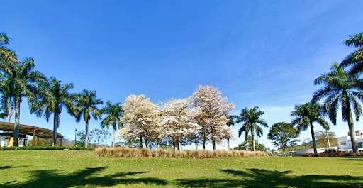 Terreno no Condomínio Reserva Ibirapitanga - Santa Isabel/SP