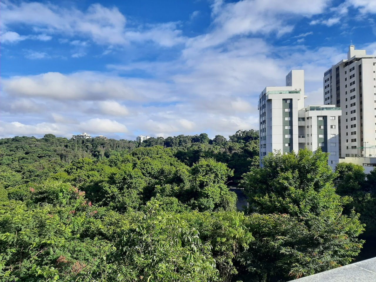 Cobertura à venda com 5 quartos, 3 suítes, 4 vagas e 304m² no Castelo, Belo Horizonte (MG) — foto 25 de 29