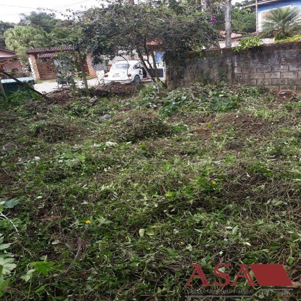 Foto 01