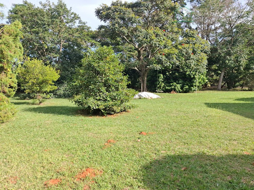 Chácara à venda em São Pedro: 4 quartos e 351,51m²