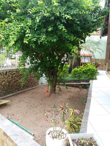 Foto 05