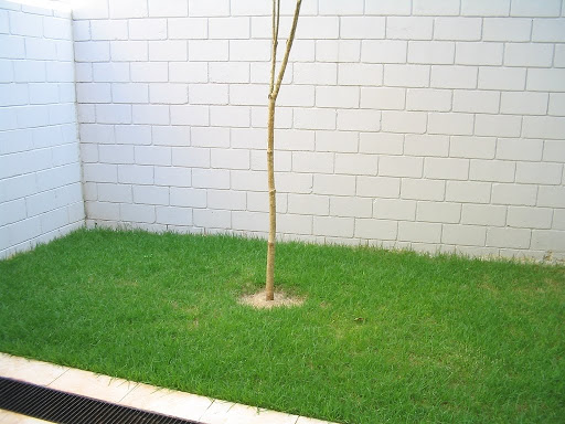 Jardim dos fundos