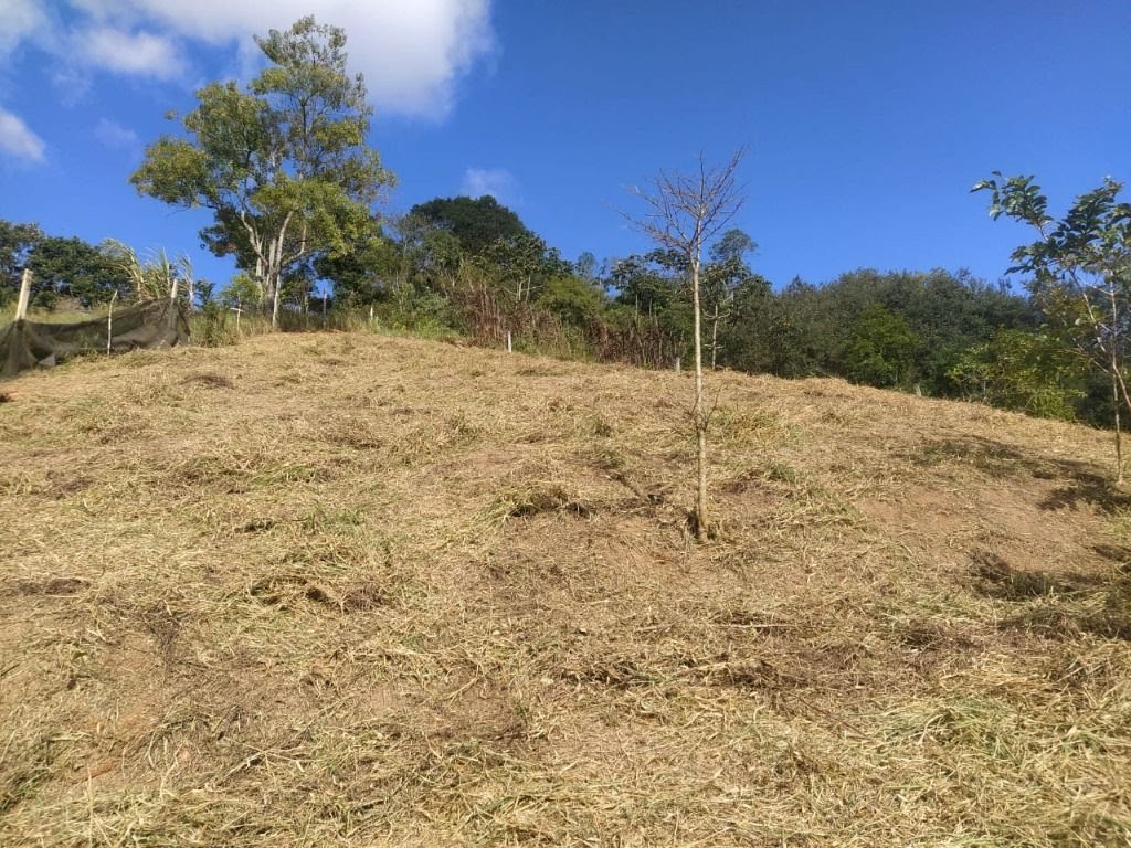 Terreno à venda com 1025m² de terreno no Parque Santa Teresa, Santa Isabel (SP) — foto 5 de 14