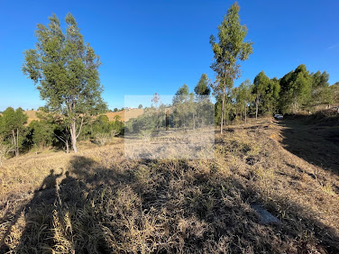 Sítio em Zona Rural  -  Cataguases