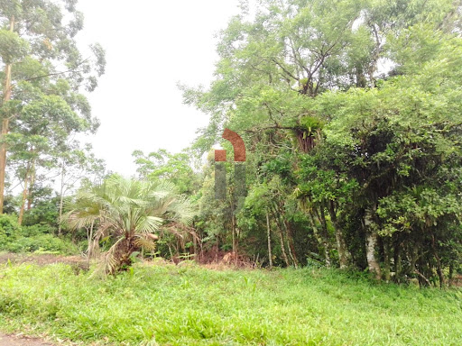 Terreno no Morro  -  Caraá
